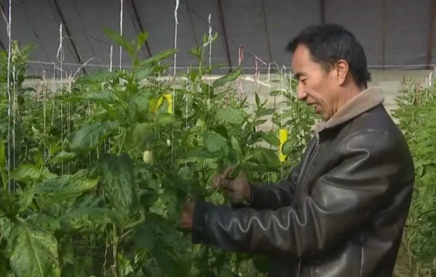 1614566813144020616.jpg 11932991038341223255.jpg