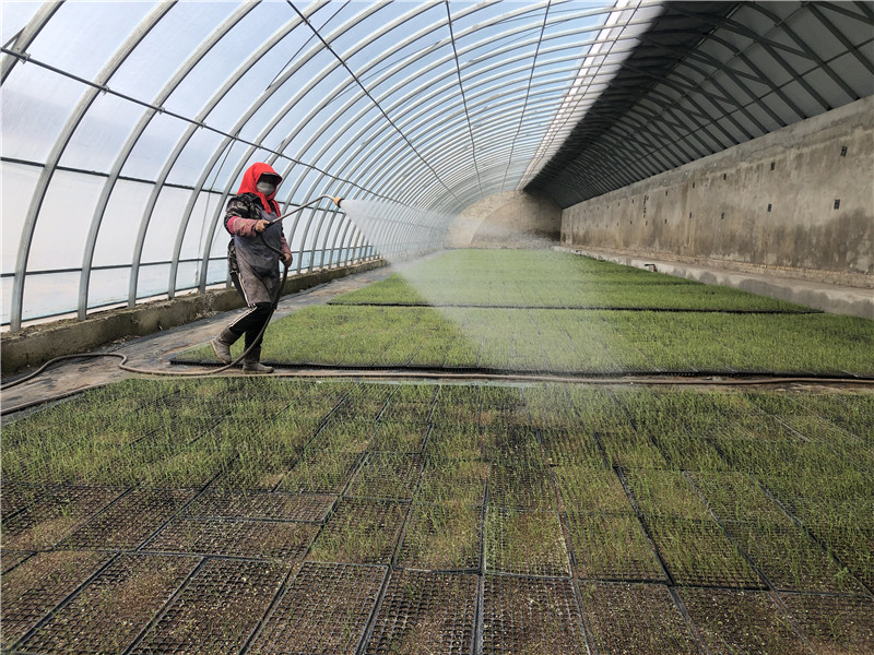 1614651162665012443.jpg 11760280250261048786_副本.jpg