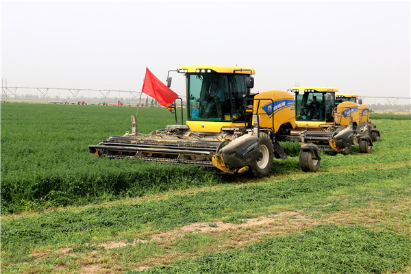 1615361938158090248.jpg 366209392385300889_副本.jpg