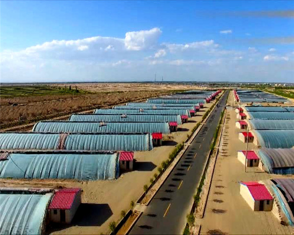 1615362025632097635.jpg 3493355026312877132_副本.jpg