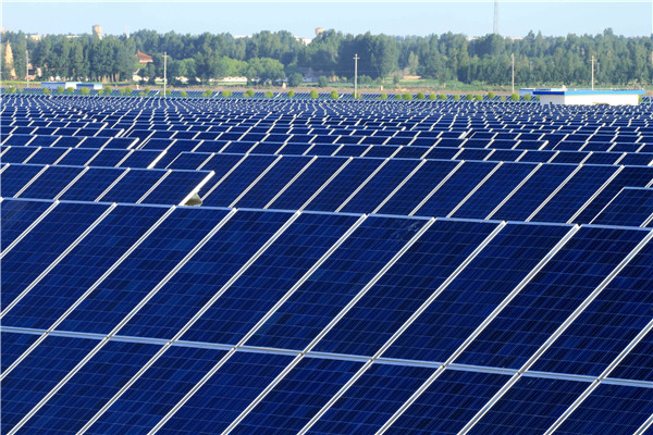 1615362085053021973.jpg 3779430245515959544_副本.jpg