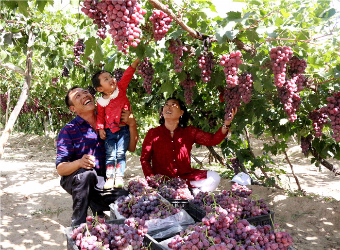 1615518752145008979.jpg 12388569326533407256_副本.jpg