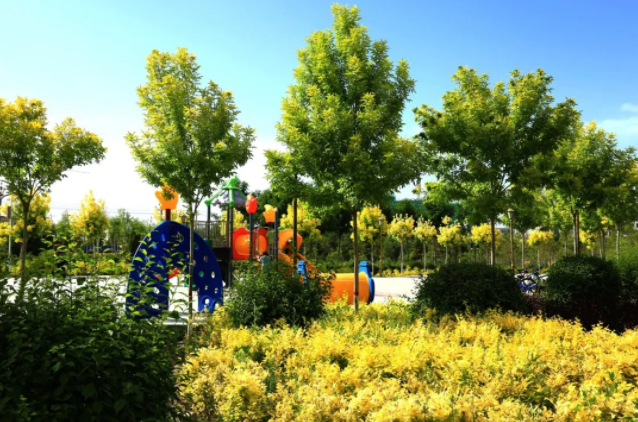 1615528479655014974.jpg 3956358167860249233.jpg