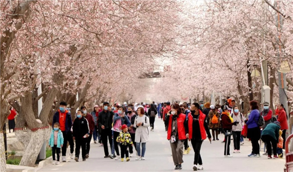 1617787801539087496.jpg 8960371546124508679_副本.jpg