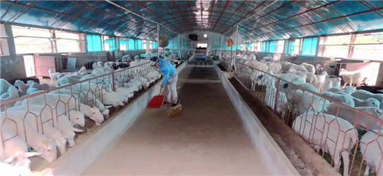 1641893779037069214.jpg 14293831132677898455_副本.jpg