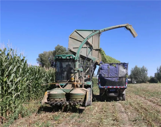 1641893796166014268.png 16791036100733746568.png