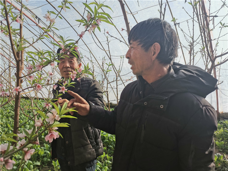 1643102908416085700.jpg 97f0ba50179fe16bdca8153b345d6b2_副本.jpg