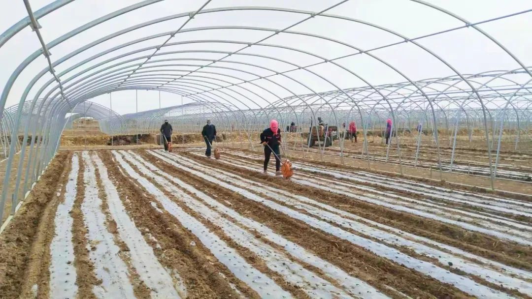 1648194891646002887.jpg 1648194891646002887.jpg