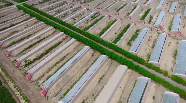 1651052652120057730.png 1651052652120057730.png