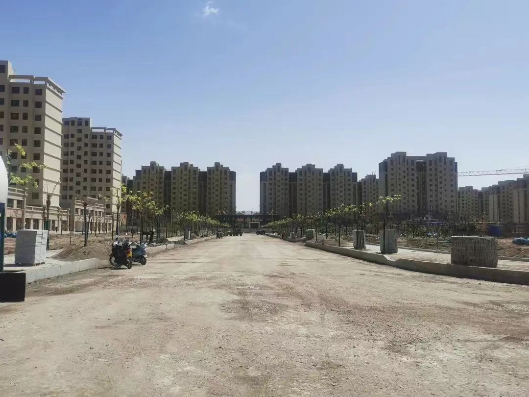 1652953192288081999.jpeg 1652953192288081999.jpeg