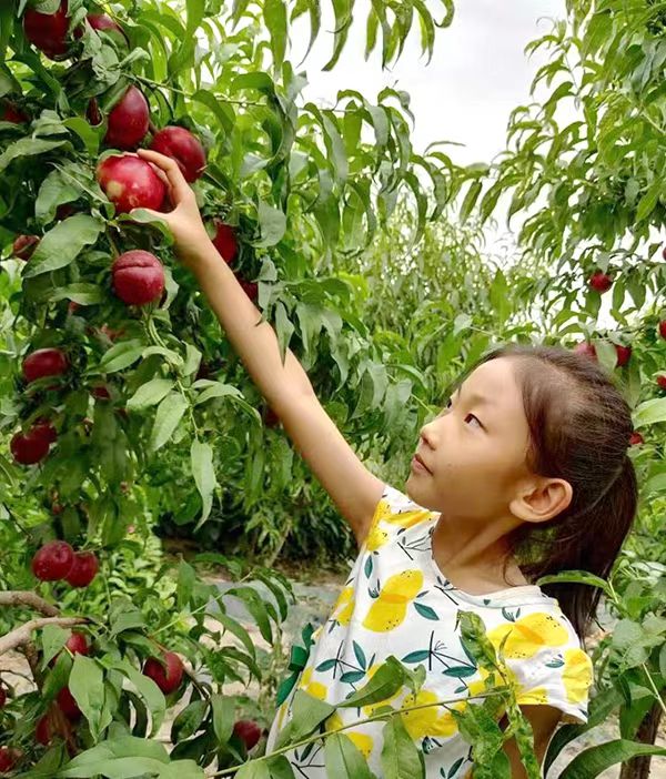 1653382411143077777.jpeg WechatIMG33.jpeg