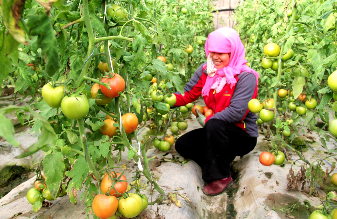 1653382425301098982.png 1653382425301098982.png