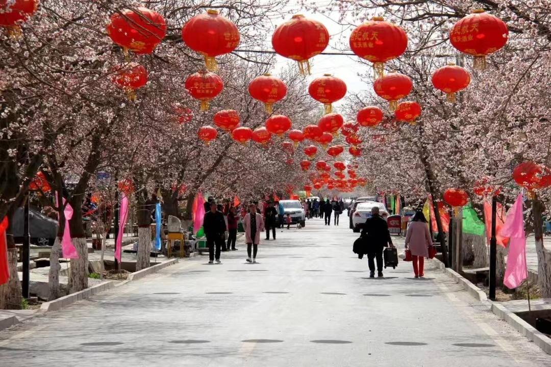 1653382447947031035.jpeg 1653382447947031035.jpeg