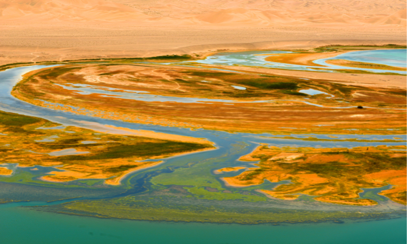 1653382842357092086.jpg WechatIMG40.jpg