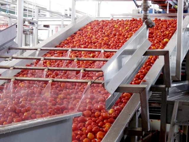 1653470772426066086.jpeg WechatIMG52.jpeg