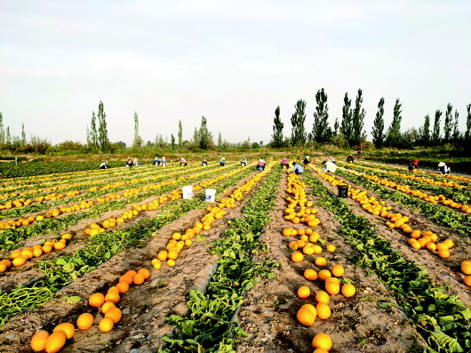 1657788569475012916.jpg 50dd02c2014423e6a1dac980a673bd9.jpg