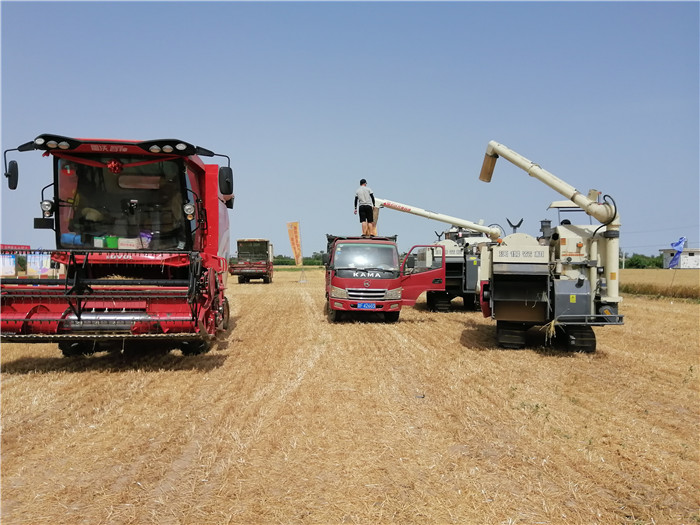 1658222982928091400.jpg 93c276e16aa0cbbfb48724992e6bc8b_副本.jpg