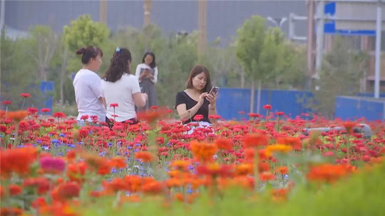 1662109803702029662.png 图片3_副本.png