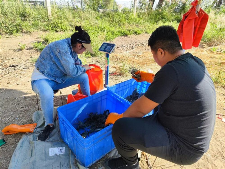 1663138949144012057.png 图片40_副本.png