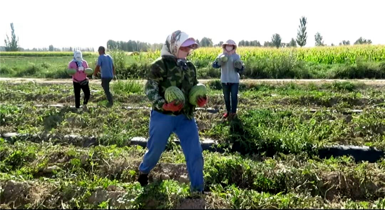 1663224003797046824.png 图片42_副本.png