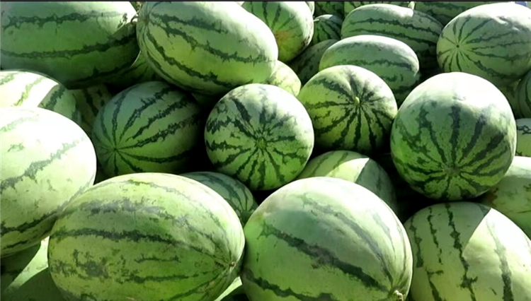 1663224029711005123.png 图片43_副本.png