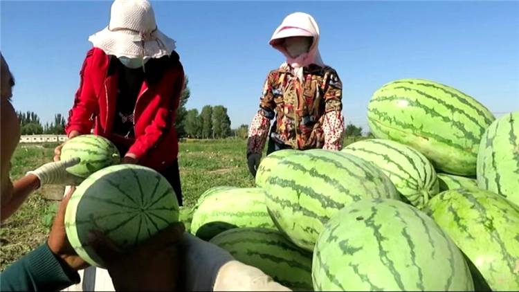 1663224041336032887.png 图片44_副本.png