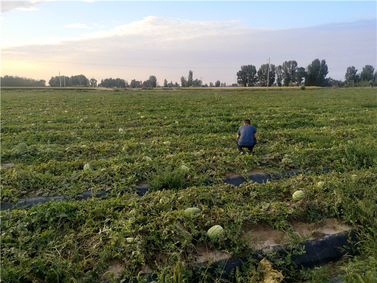 1663224064435048060.png 图片45_副本.png