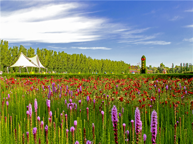 1663667591878032439.png 图片4_副本.png