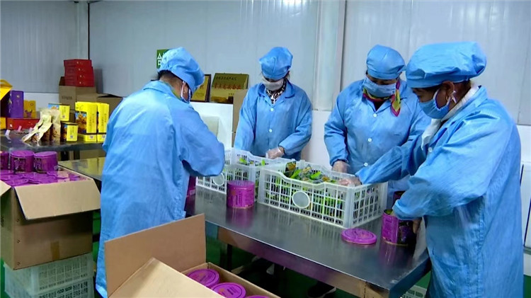 1664268454832034551.jpg 44d12c9278bdb969916dc2fe564d3dd_副本.jpg