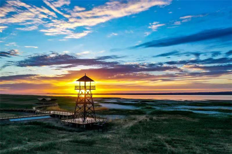 1665221934815028077.jpg e77b2bab9116685fa184b00ed4677d3_副本.jpg