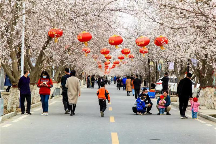 1665221959400021658.jpg cbc03cdbec563347c10a9e646dfde58_副本.jpg