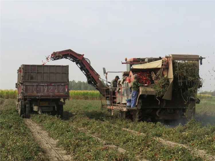 1665395138151014051.png 图片38_副本.png