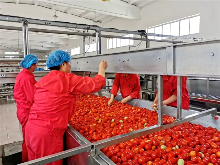 1665395185193035043.png 图片39_副本.png