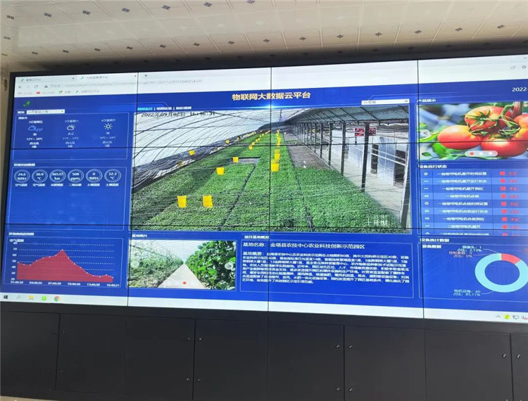 1665481948868071986.jpg 金塔县农技中心物联网大数据平台监测站云平台.jpg