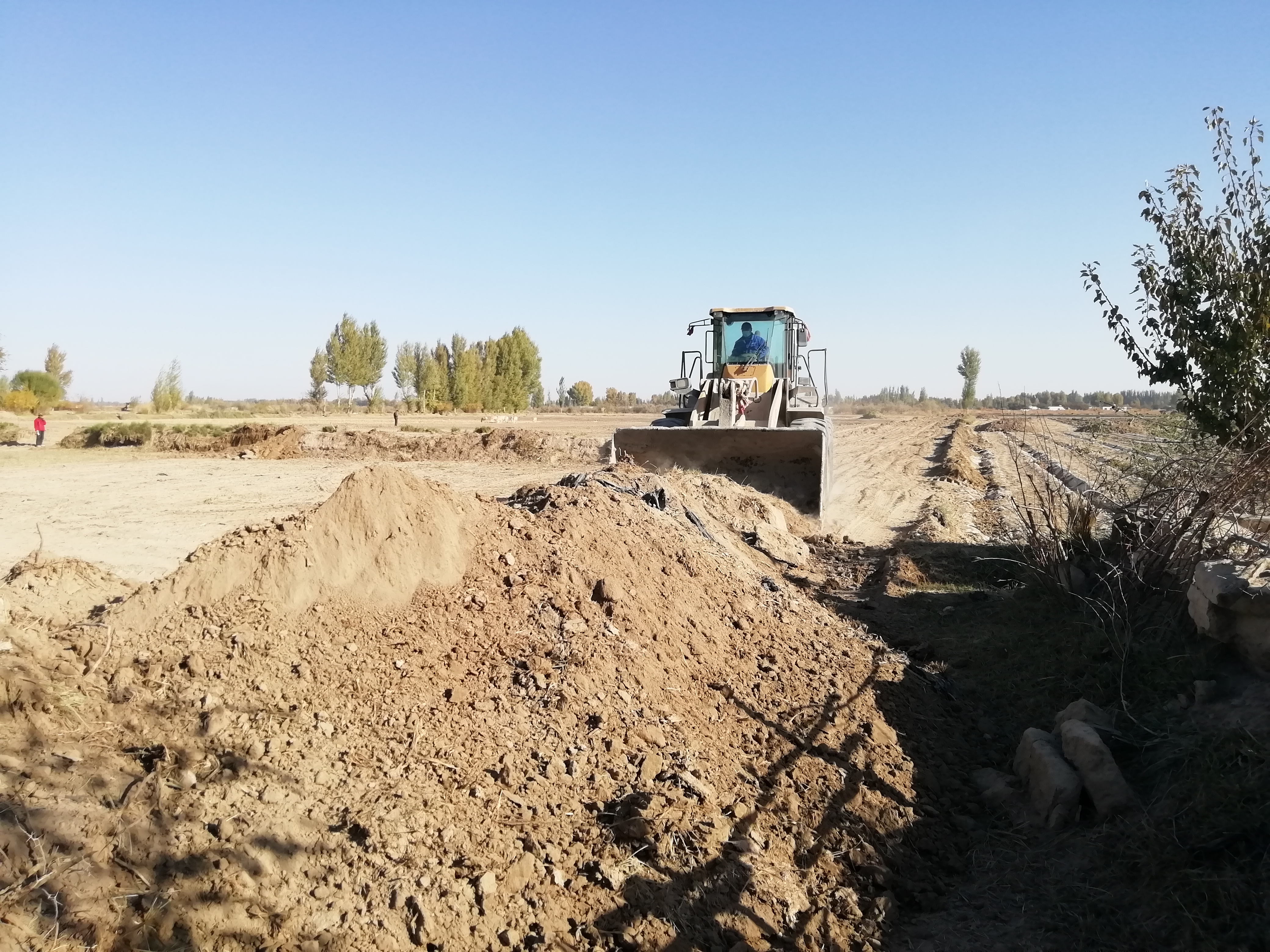 1666343988848050907.jpg 1666343988848050907.jpg