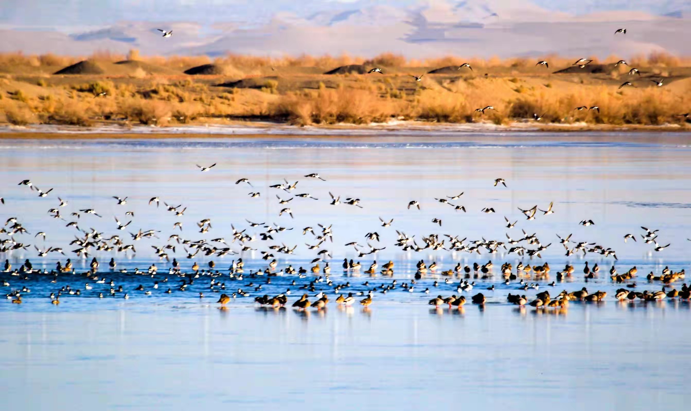 1667814698799038757.jpeg 1667814698799038757.jpeg