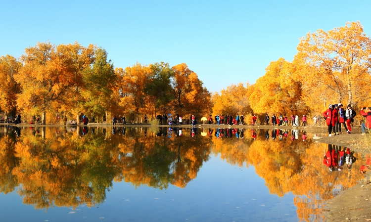 1668679249468028060.jpg WechatIMG279_副本.jpg