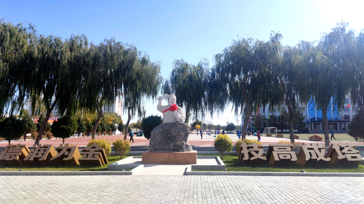 1669107640281072106.png 图片10_副本.png