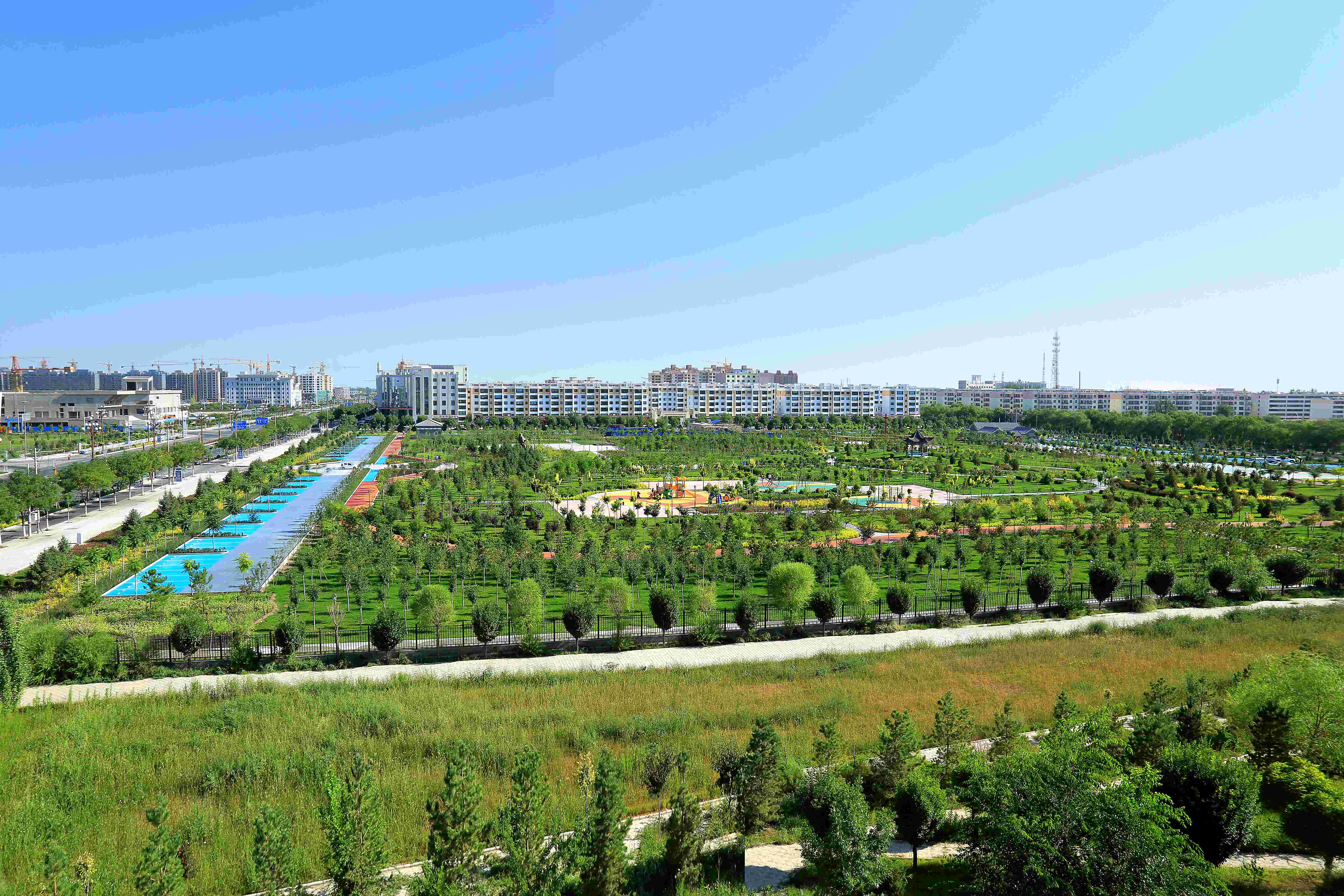 1669196667576065270.jpeg 1669196667576065270.jpeg