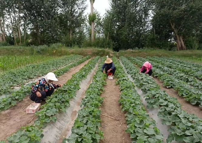 1669284204425080758.jpeg WechatIMG318.jpeg