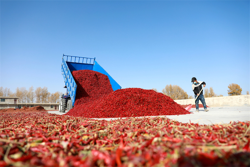 1669284230662033954.png 图片17.png