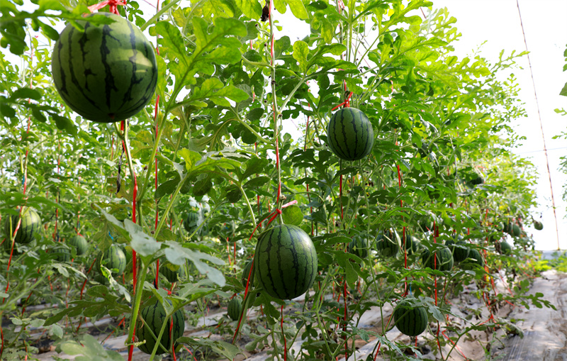 1669284261757005974.png 1669284261757005974.png