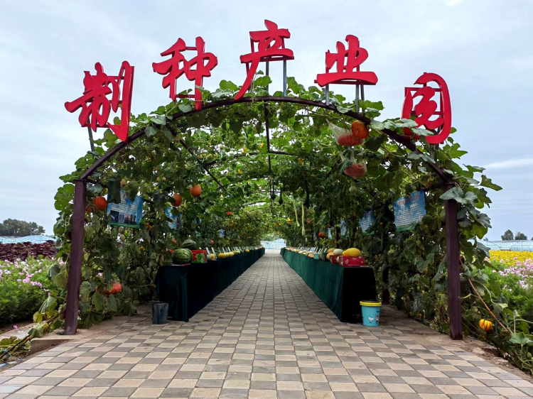 1672911105421060173.png 图片6_副本.png