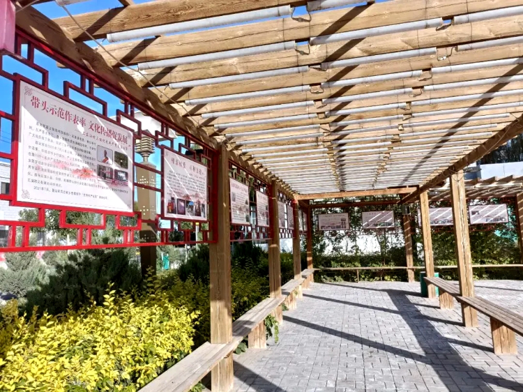 1672911132933018468.png 图片8_副本.png