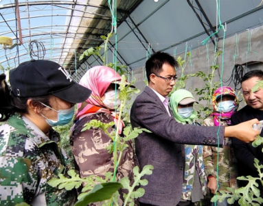 1677662212848026405.png WechatIMG430.png