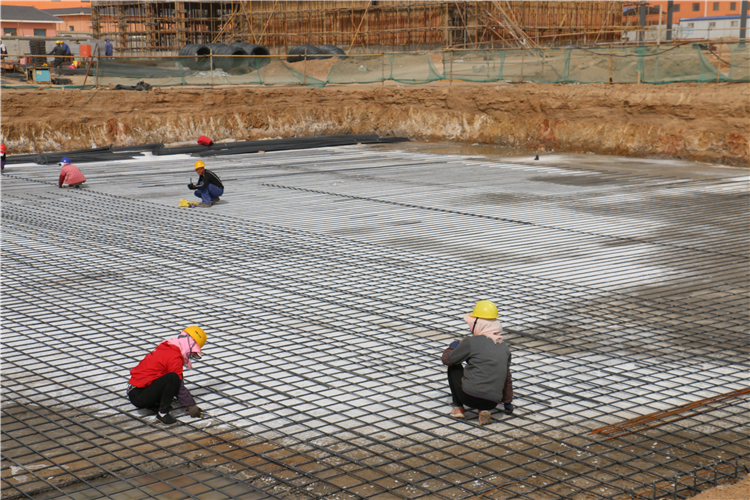 1678955963853087206.png 图片1_副本.png