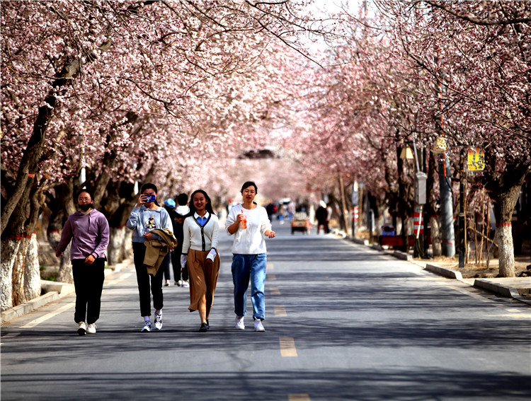 1679994889728019191.jpg 499e27e5a629b03b3b70a40816f3377_副本.jpg