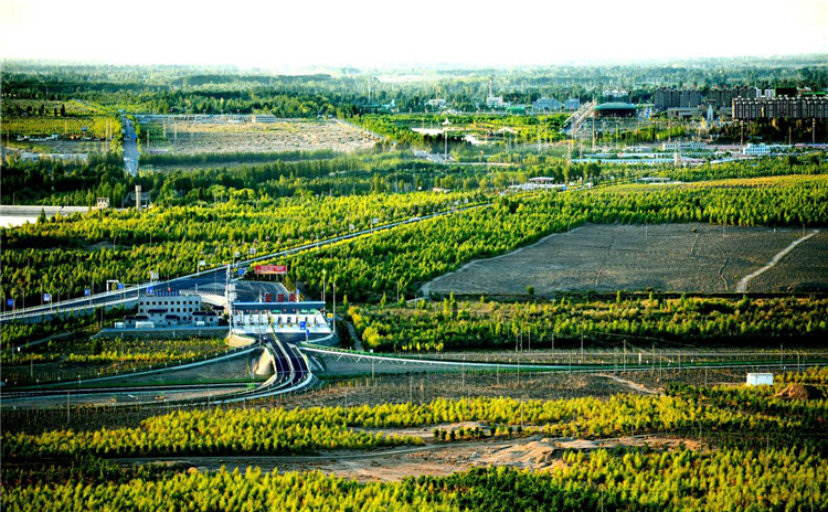 1680168957354034405.jpg 只见绿树成林,不见往日风沙.jpg