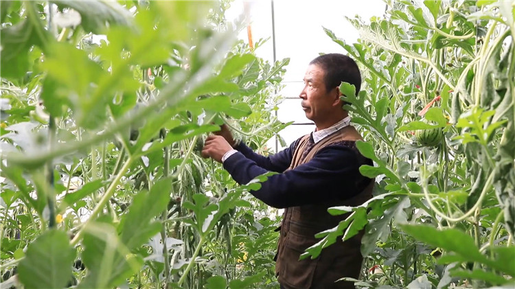 1680591827003037658.jpg e595d823ef14848666a3cffddc26a9c_副本.jpg