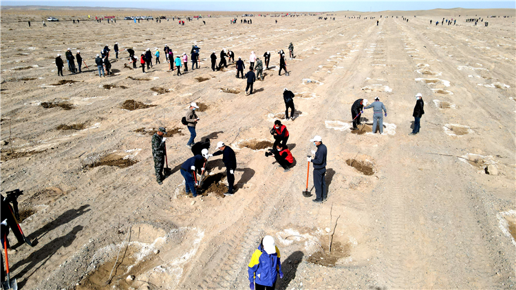 1681366744714080158.png 2_副本.png